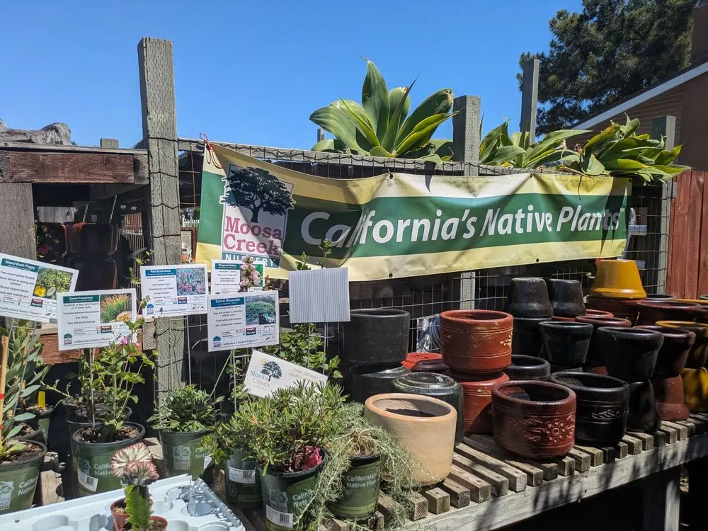 Local landscaping services for beautiful yards in San Diego, CA by North Park Nursery