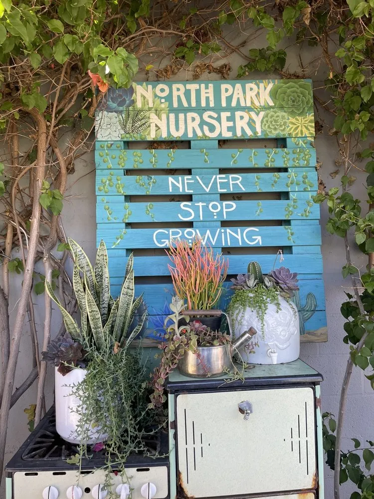Reliable landscape design in San Diego, CA by North Park Nursery