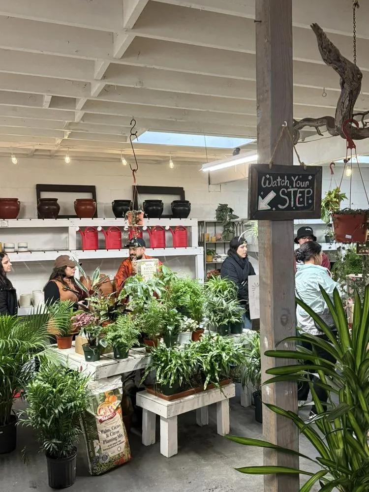 Trusted landscape design for beautiful yards in San Diego, CA by North Park Nursery