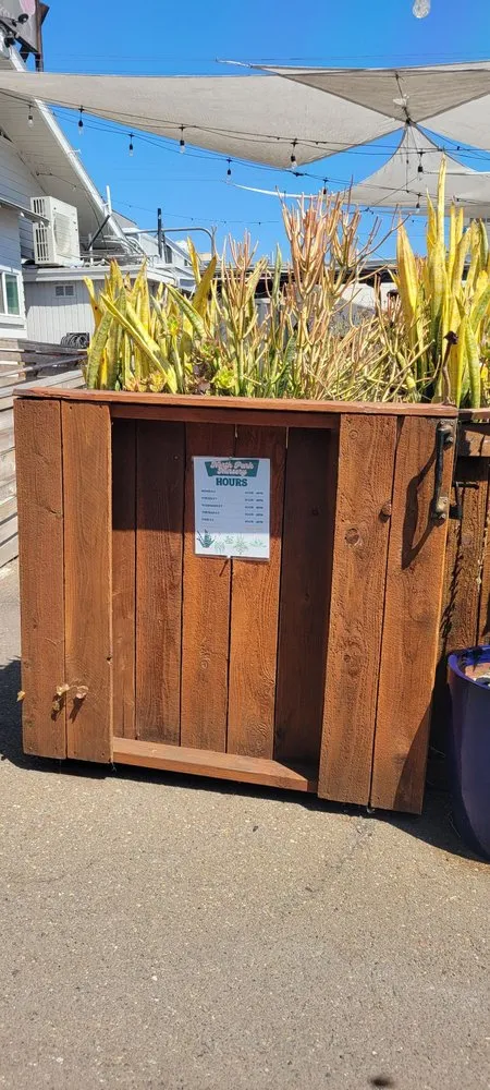 Affordable landscape installation in San Diego, CA by North Park Nursery