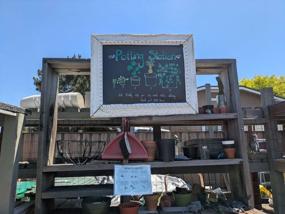 Reliable yard maintenance in San Diego, CA by North Park Nursery