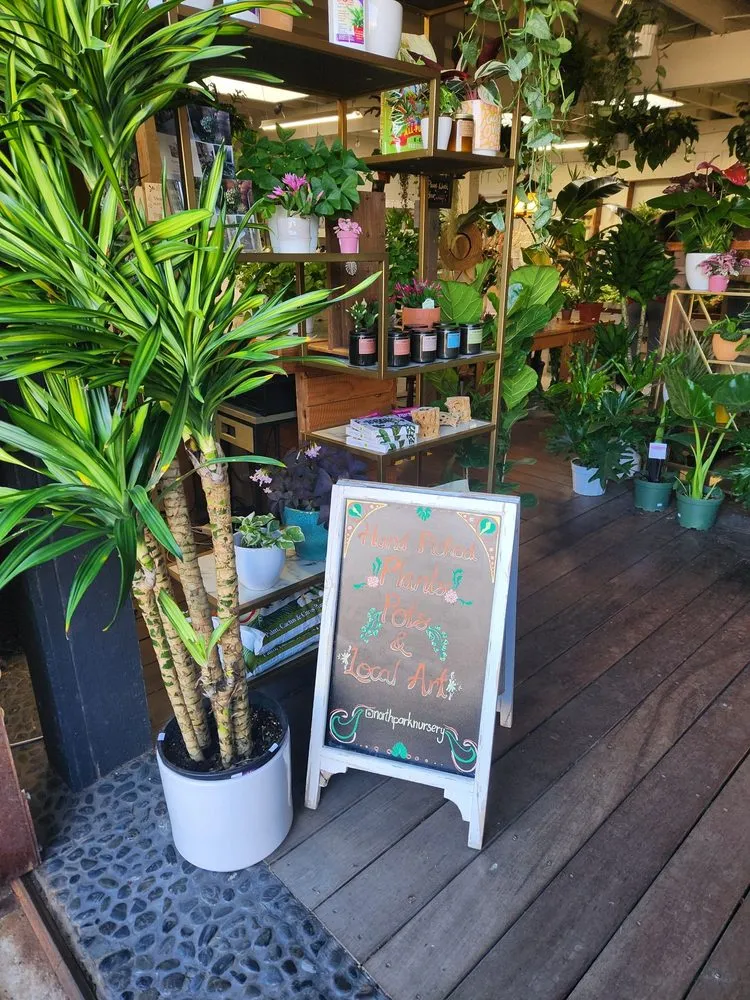 Trusted yard maintenance in San Diego, CA by North Park Nursery