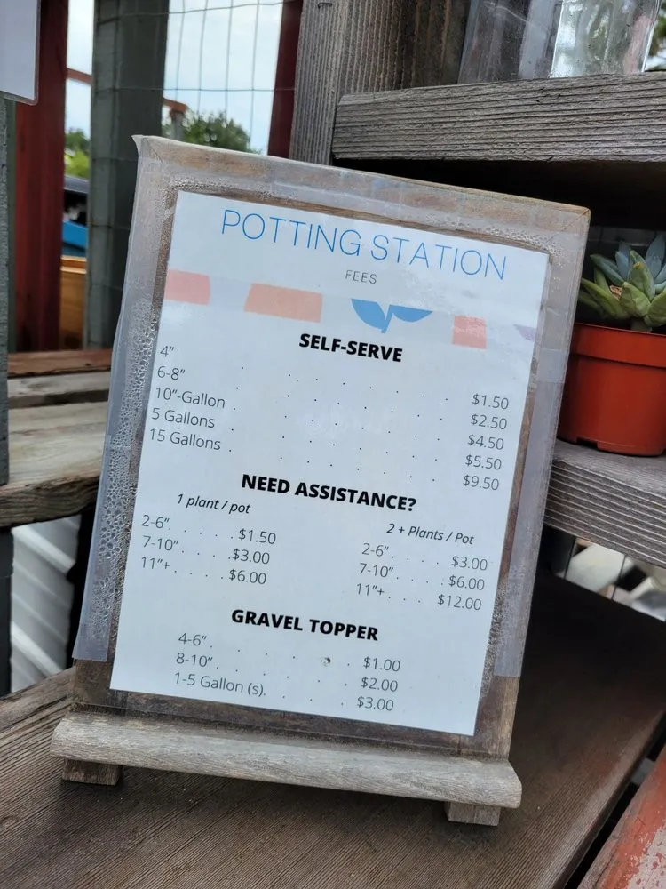 Trusted lawn mowing service for beautiful yards across San Diego, CA - North Park Nursery