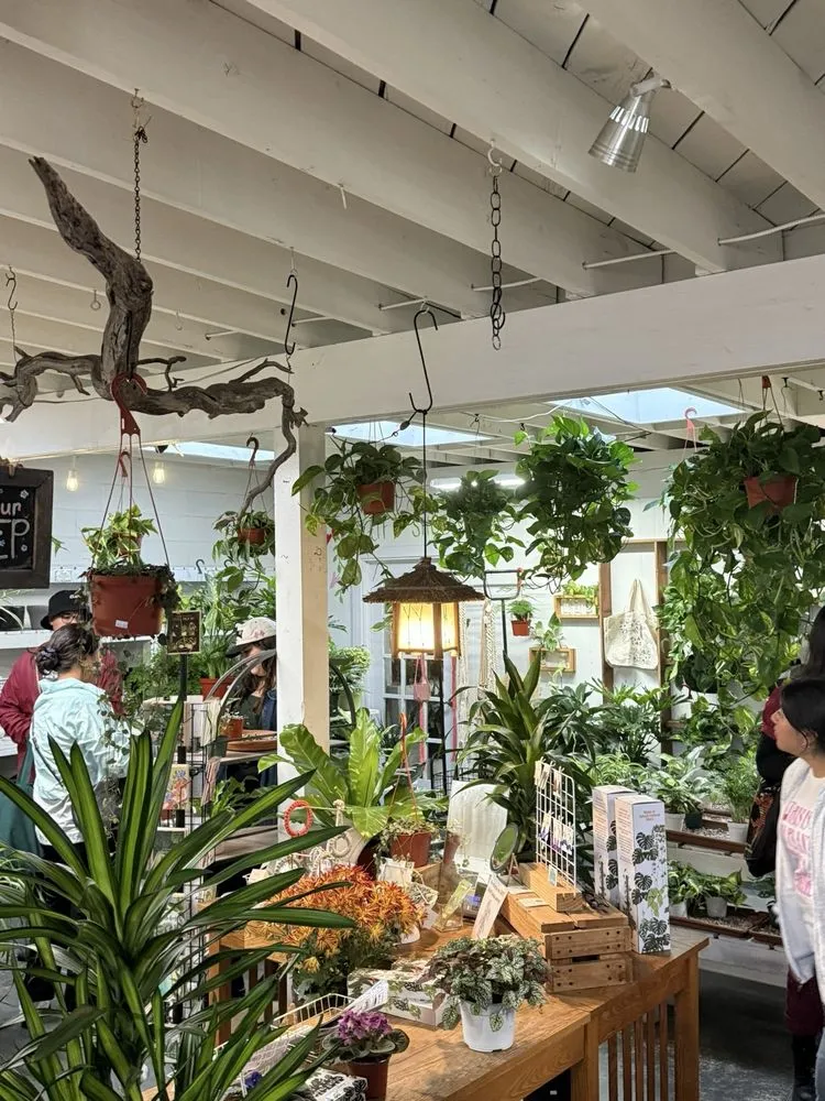 Top-rated landscape design for homes in San Diego, CA by North Park Nursery