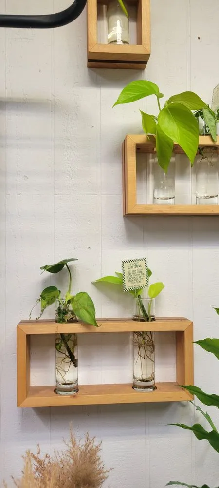 Affordable residential landscaping experts serving San Diego, CA - North Park Nursery