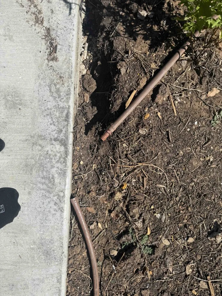 Reliable landscape installation experts serving Austin, TX - North Pearl Landscaping