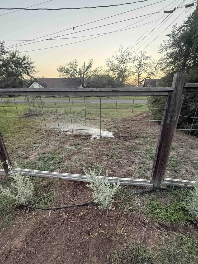 Custom lawn mowing service for beautiful yards in Austin, TX by North Pearl Landscaping