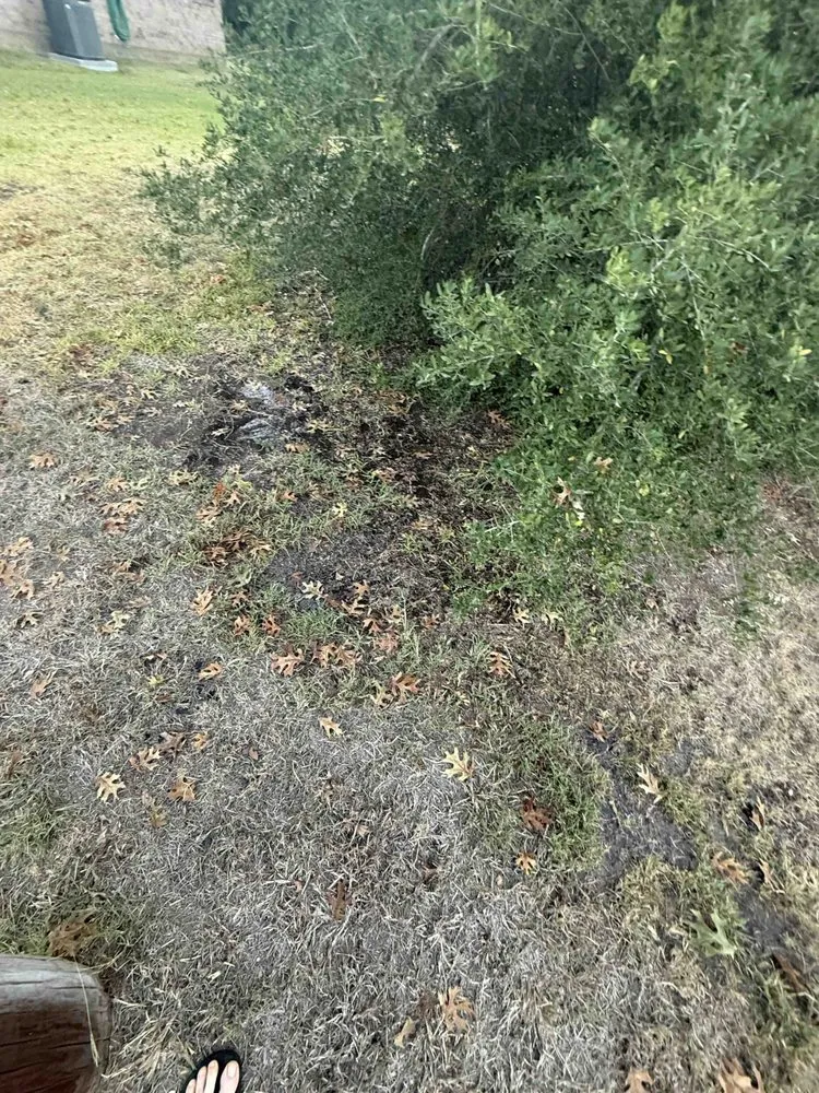 Custom landscape design near you in Austin, TX by North Pearl Landscaping