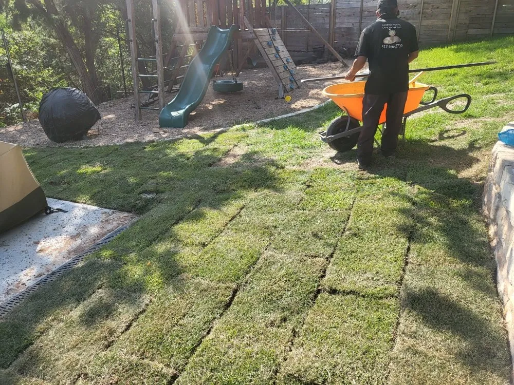 Professional yard cleanup service in Austin, TX - North Pearl Landscaping