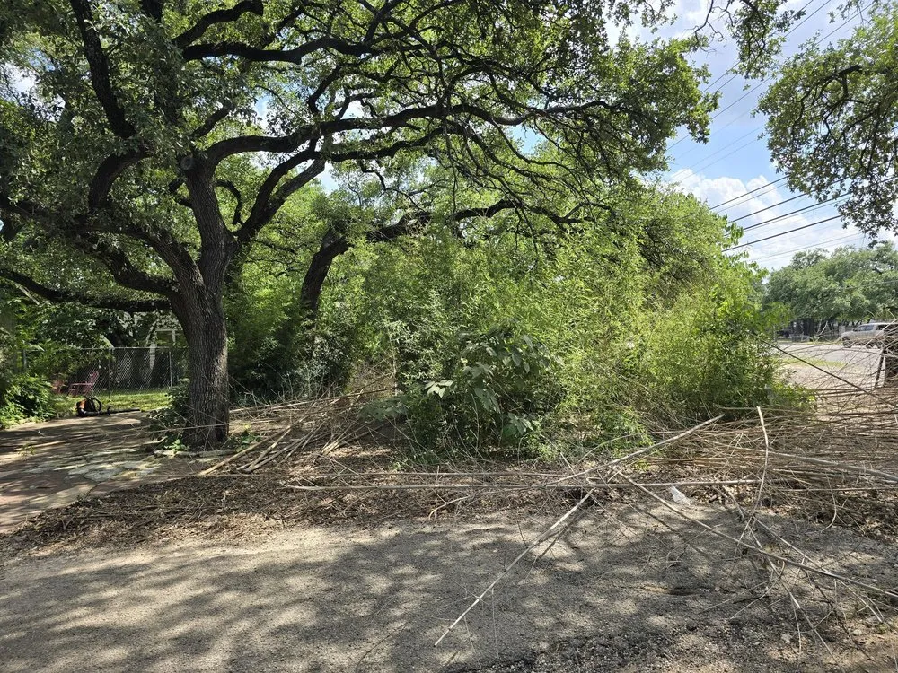 Reliable residential landscaping in Austin, TX - North Pearl Landscaping