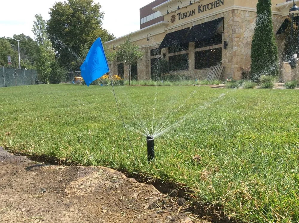 Top-rated yard cleanup service in Derry, NH - North Point Outdoors