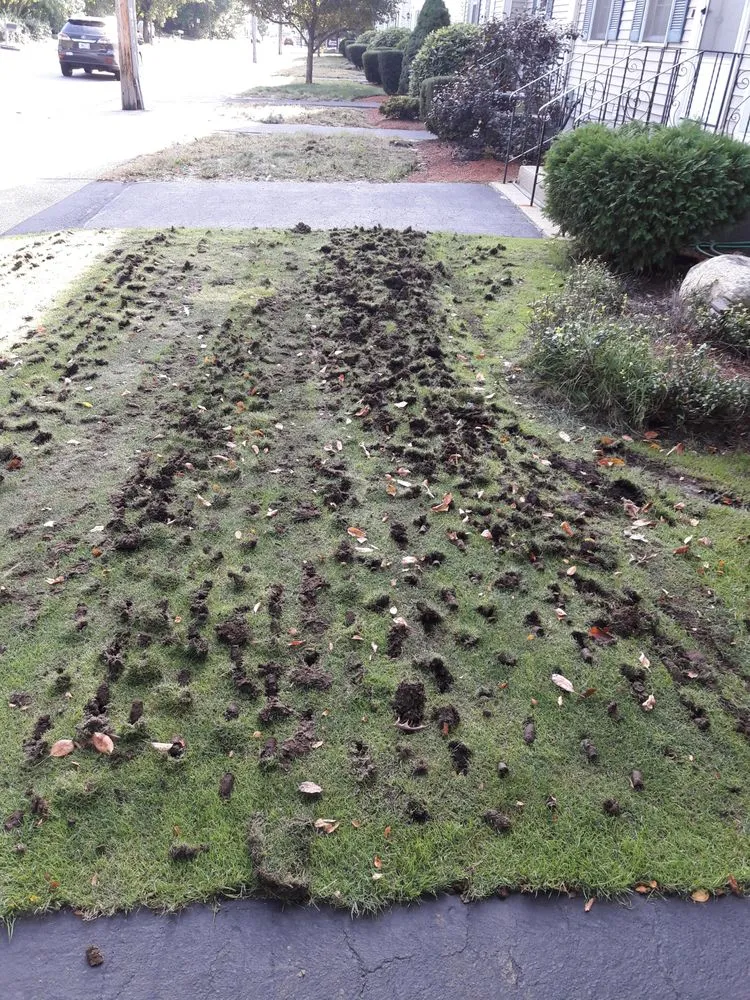 Trusted outdoor landscaping in Derry, NH - North Point Outdoors