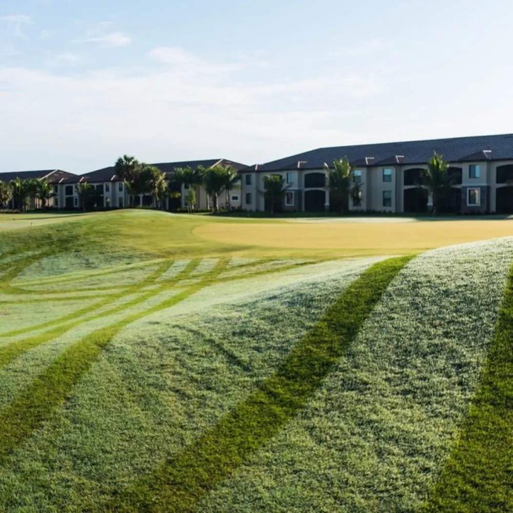 Local yard cleanup service experts serving North Port, FL - North Port Landscapers