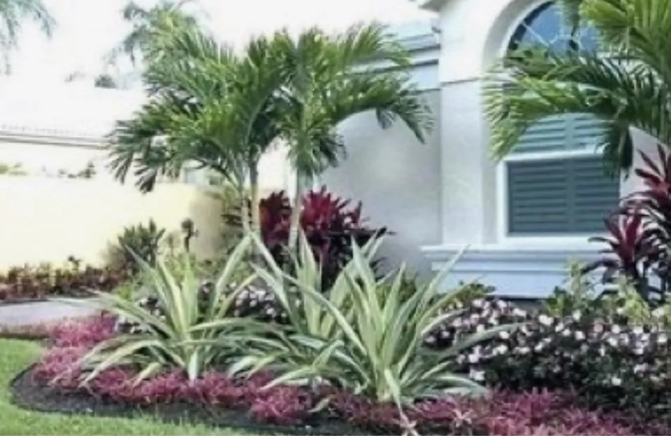 Trusted lawn mowing service in North Port, FL - North Port Landscapers