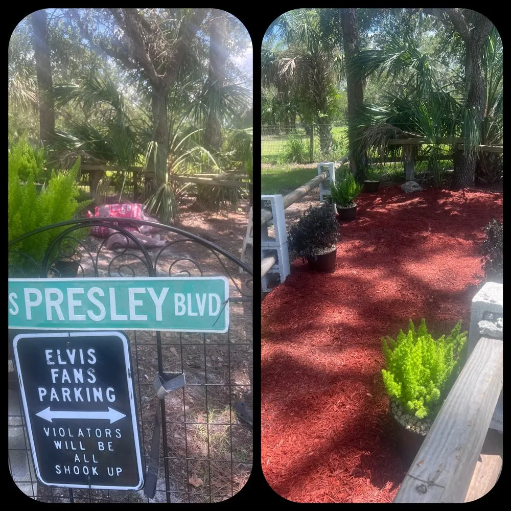 Reliable yard maintenance in North Port, FL by North Port Lawn & Landscaping Service