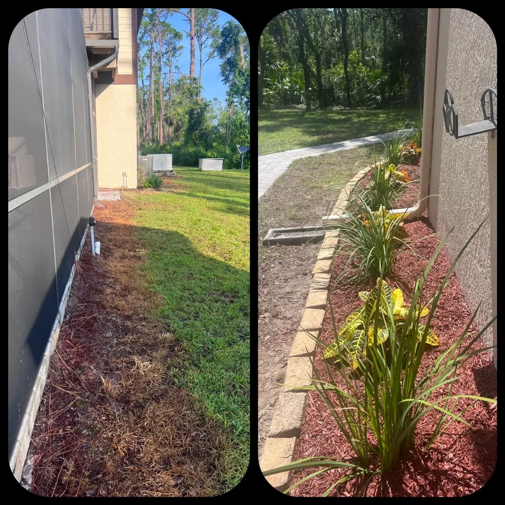 Affordable yard cleanup service in North Port, FL - North Port Lawn & Landscaping Service