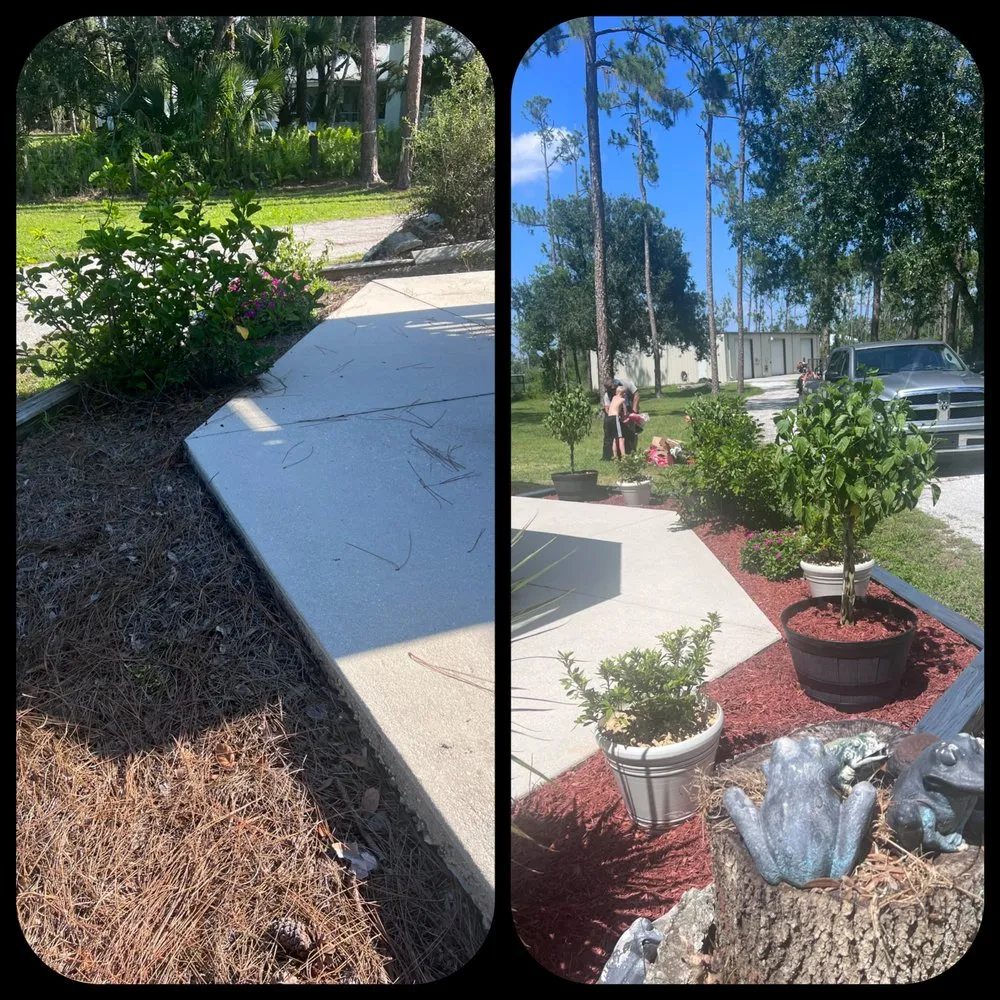 Affordable landscape design in North Port, FL - North Port Lawn & Landscaping Service
