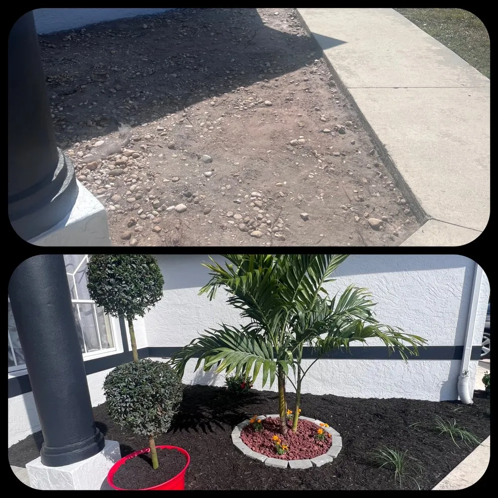 Expert yard cleanup service with custom design in North Port, FL by North Port Lawn & Landscaping Service