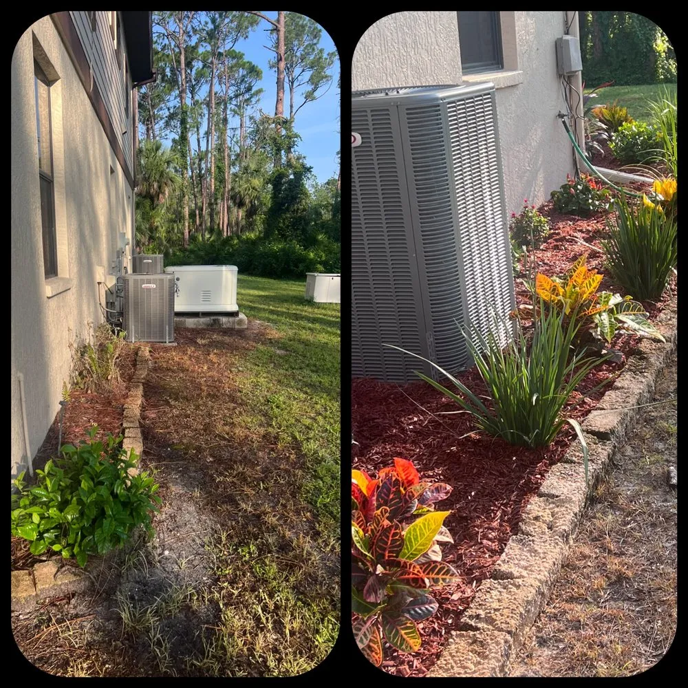 Top-rated yard cleanup service in North Port, FL - North Port Lawn & Landscaping Service