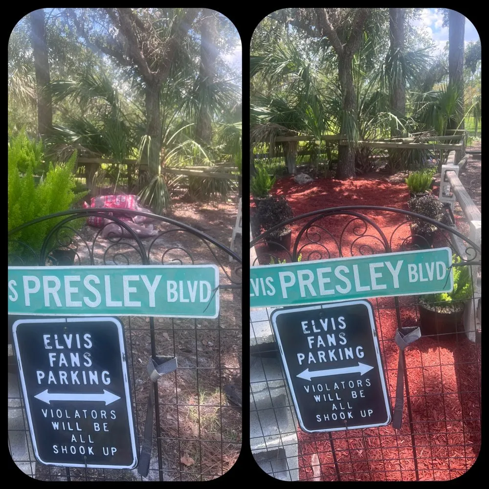 Expert landscape design for outdoor upgrades across North Port, FL - North Port Lawn & Landscaping Service