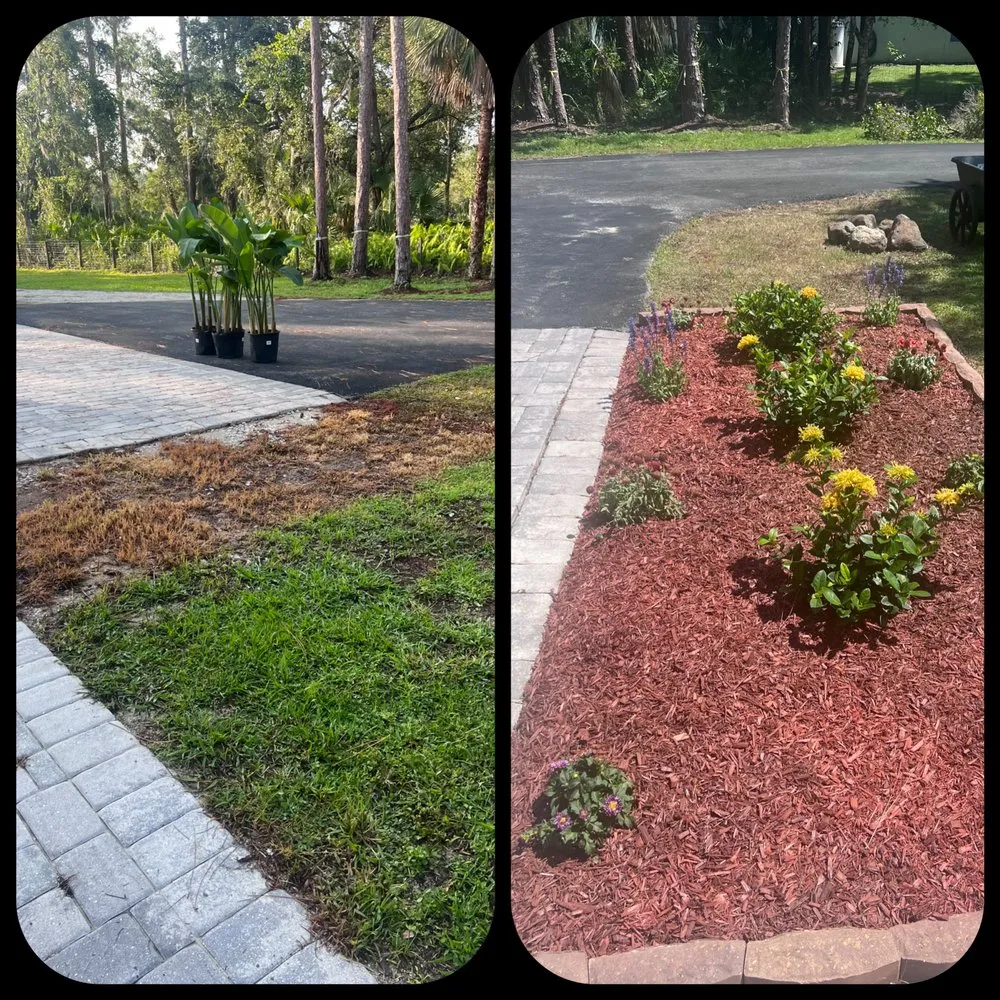 Expert yard cleanup service in North Port, FL by North Port Lawn & Landscaping Service