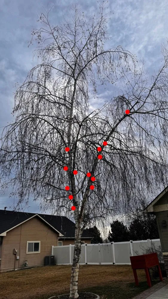 Custom garden landscaping for homes in Payette, ID by North Rise Contractors