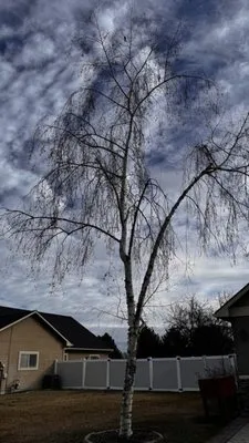 North Rise Contractors