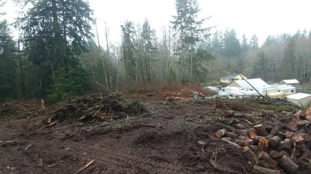 Professional lawn mowing service for homes across Bremerton, WA - North River Excavation