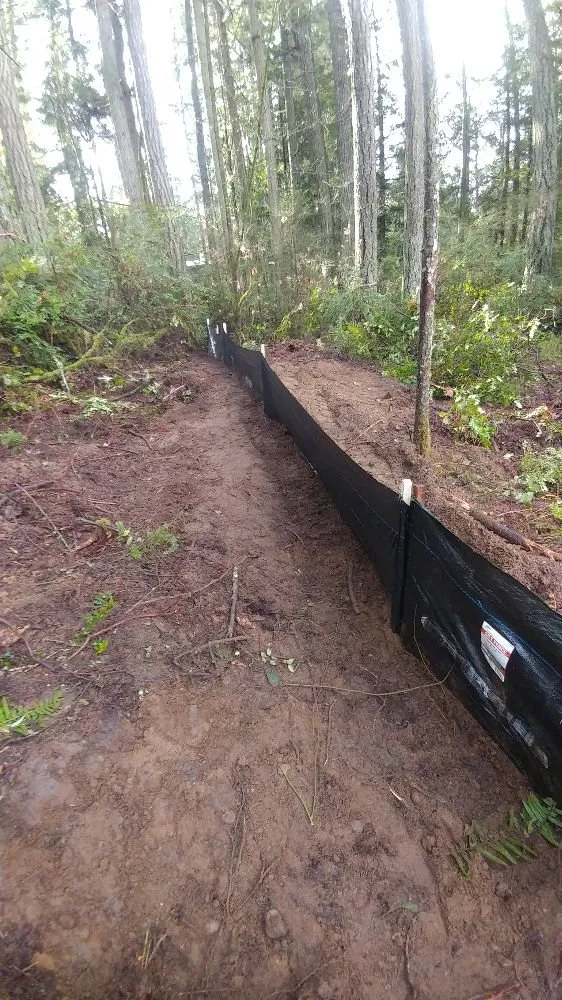 Expert yard cleanup service in Bremerton, WA - North River Excavation