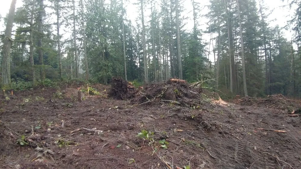 Professional landscaping services with custom design across Bremerton, WA - North River Excavation