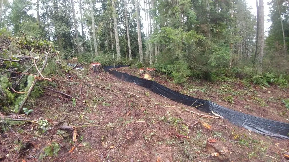 Top-rated landscape design for homes across Bremerton, WA - North River Excavation