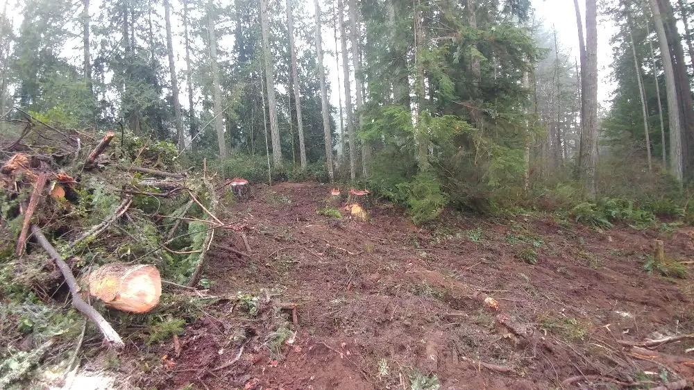 Trusted garden landscaping for outdoor upgrades across Bremerton, WA - North River Excavation