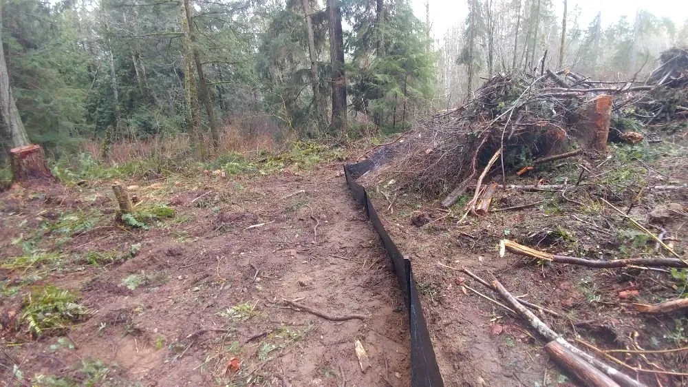 Trusted yard maintenance for beautiful yards in Bremerton, WA by North River Excavation