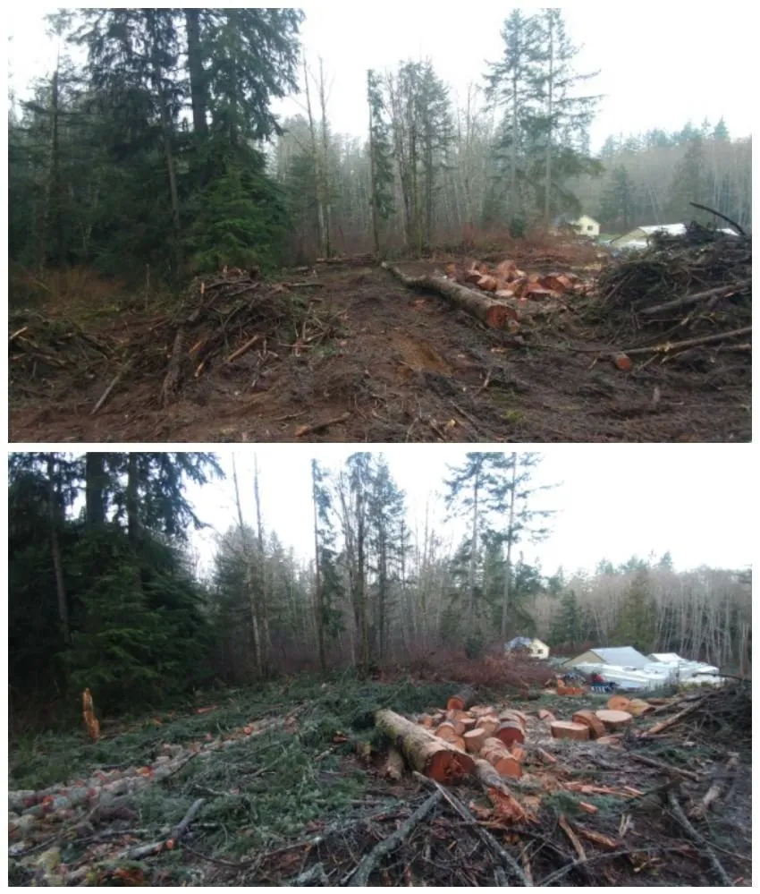 Custom garden landscaping in Bremerton, WA by North River Excavation