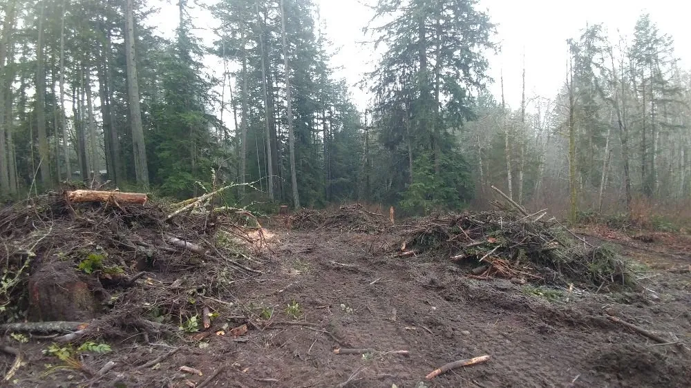 Top-rated lawn care service experts serving Bremerton, WA - North River Excavation