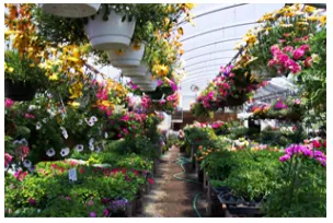 Local lawn care service for residential properties across Alamosa, CO - North River Greenhouse & Landscaping