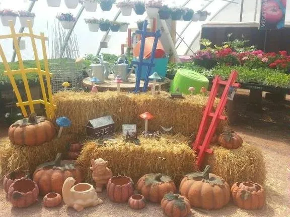 Expert outdoor landscaping for year-round maintenance across Alamosa, CO - North River Greenhouse & Landscaping