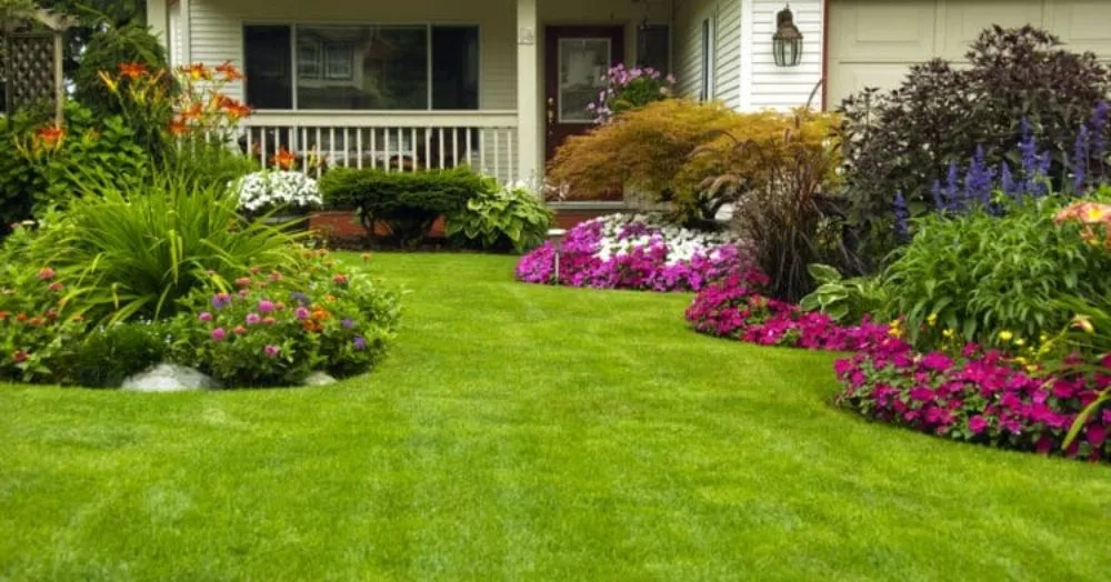 Professional landscaping services for year-round maintenance in Shawboro, NC by North River Lawn Care & Landscaping