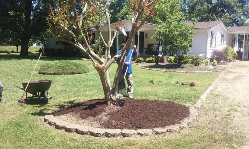 Reliable garden landscaping experts serving Shawboro, NC - North River Lawn Care & Landscaping