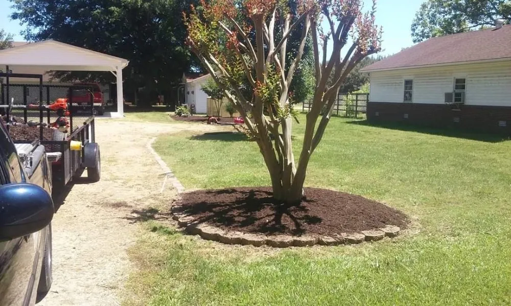 Expert landscaping services experts serving Shawboro, NC - North River Lawn Care & Landscaping