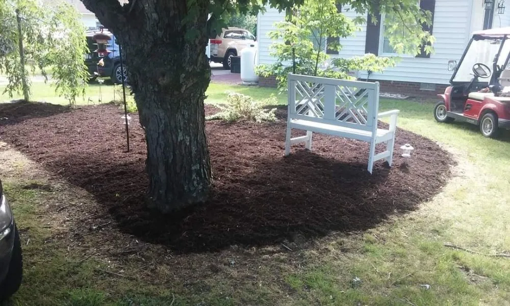 Local lawn care service experts serving Shawboro, NC - North River Lawn Care & Landscaping