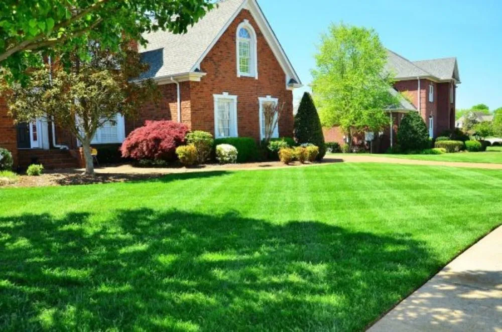 Professional lawn mowing service in Shawboro, NC by North River Lawn Care & Landscaping