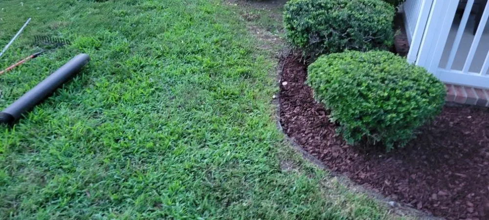 Top-rated yard cleanup service in Shawboro, NC by North River Lawn Care & Landscaping