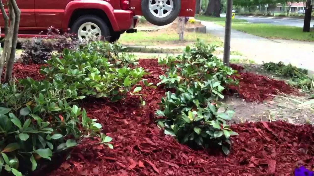 Local landscaping services experts serving Hixson, TN - North River Lawn