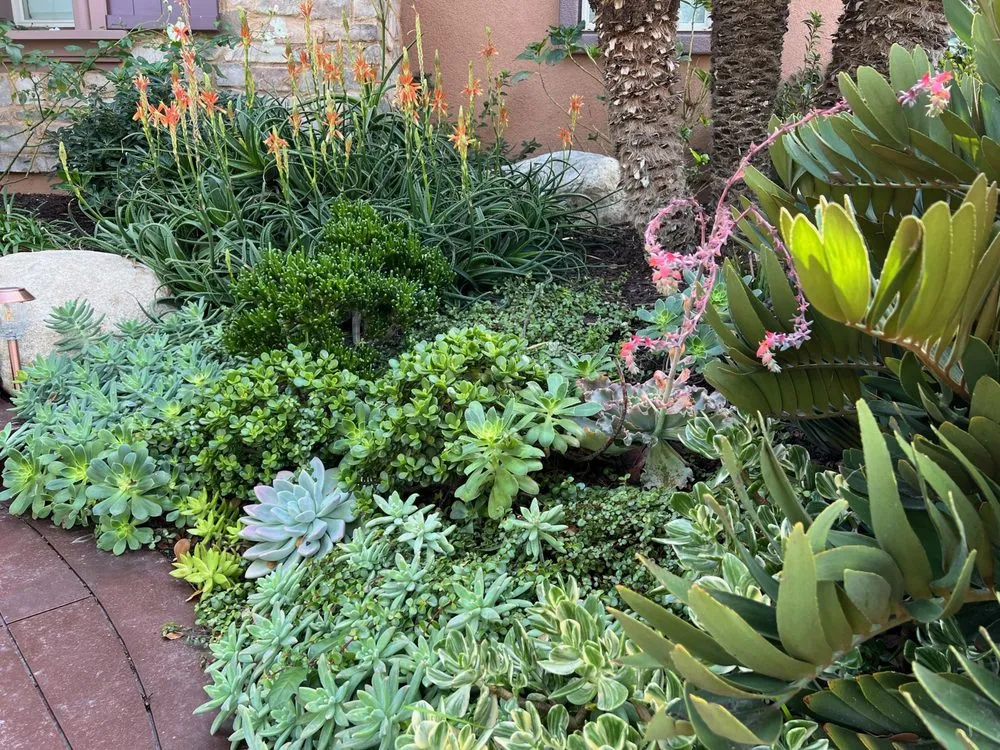 Expert landscape installation in Oceanside, CA - North SD Gardens