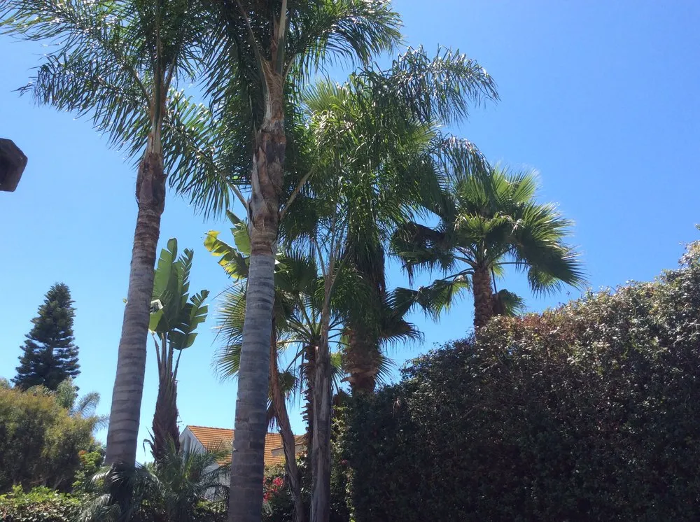 Top-rated lawn care service in Oceanside, CA - North SD Gardens