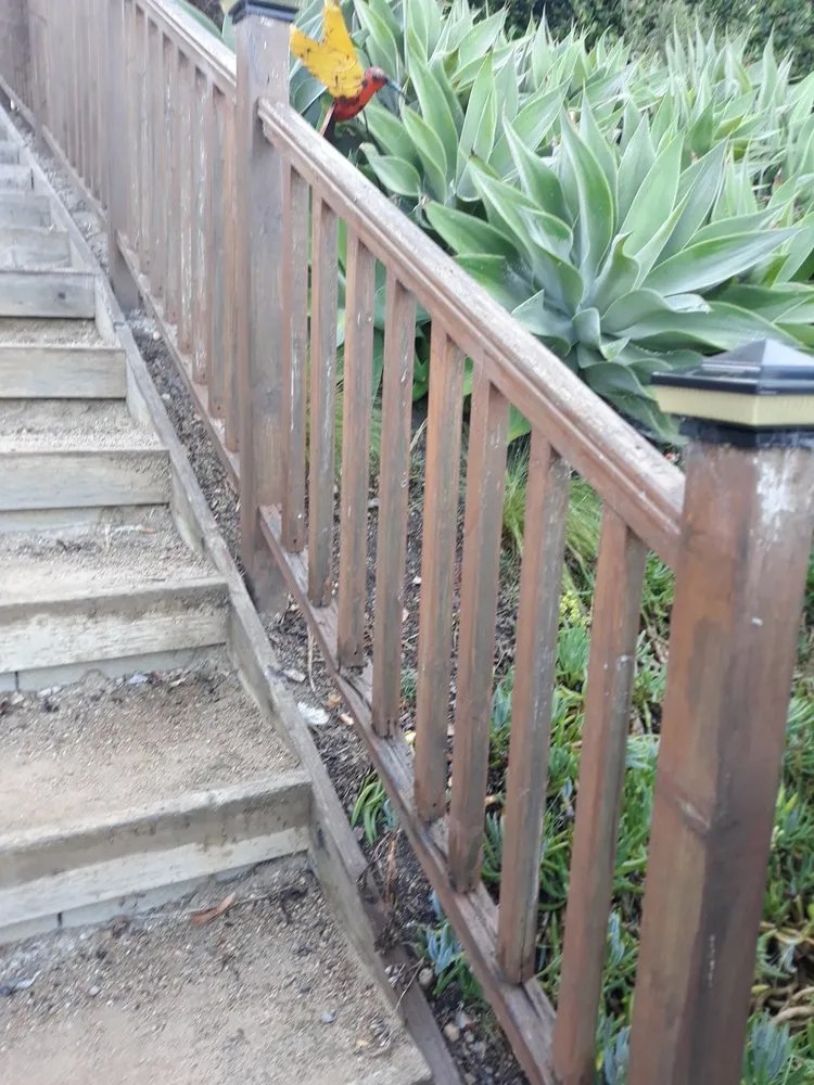 Reliable residential landscaping for beautiful yards in Oceanside, CA by North SD Gardens