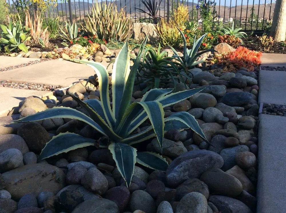 Professional landscaping services in Oceanside, CA by North SD Gardens