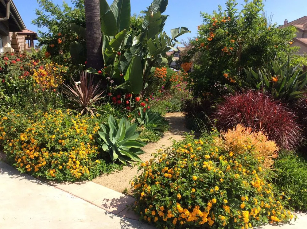 Reliable lawn care service in Oceanside, CA by North SD Gardens