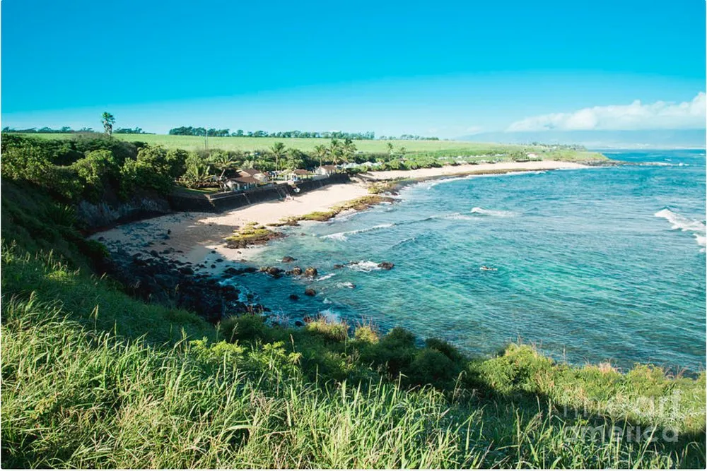 Reliable garden landscaping in Wailuku, HI by North Shore Landscaping